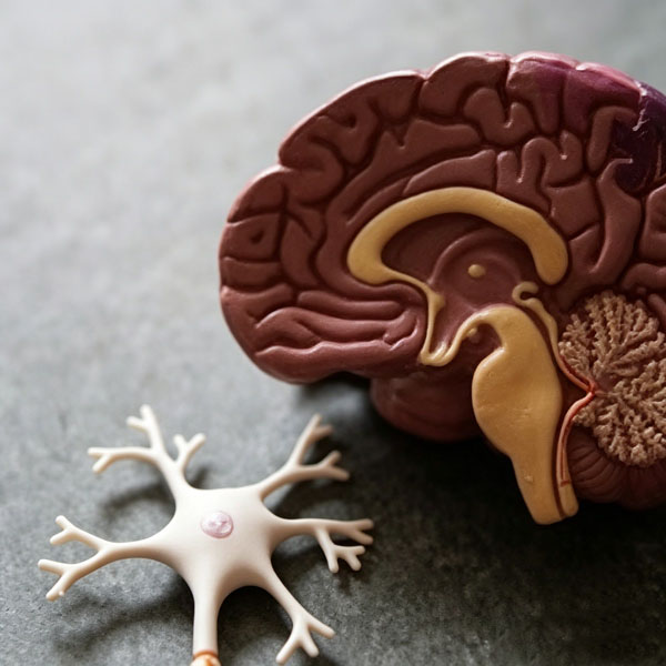 Neurology Neurosurgery Shanghai - Brain Stroke Aneurysm Care