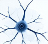 Functional Disorders