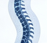 Spine Disorders