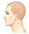Head & Neck