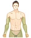 Upper Body