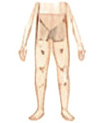Lower Body