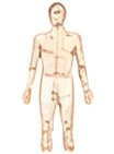 Whole Body Balance