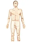 Whole Body Balance