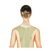 Neck, Shoulders & Upper Back
