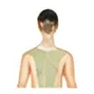 Neck, Shoulders & Upper Back
